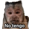 Memes Changuitos🐒 10