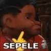 SEPELE
