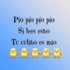 Memes 3.0🫆🧿 30