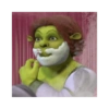 Memes Shrek 😎 8