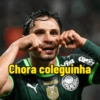 Palmeiras  17