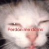 Perdón me dormí