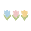 Nature Soft 6