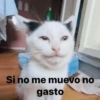 Memes 3.0🫆🧿 9
