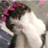Máxima ternura 💕 7