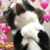 Máxima ternura 💕 10