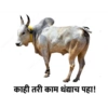 Marathi Meme 10