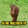 SÓ ME MALTRATA TB