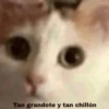 Tan grandote y tan chillón