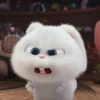 Snowball Rabbit 2 21