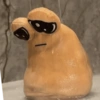 POU 5