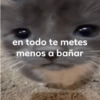 MEMES XD 12