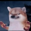 Memes pra tudo  11