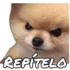 Perritos reacciones ✨🐶 12