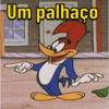 Pica pau memes  8