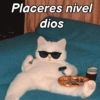 Gatitos Memes😺✨💕9 8