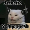 Jefecito Y el pago?