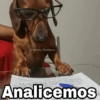 🌀 Perros con Frases 🐕🫧 9