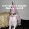 Miércoles de colapso físico y mental