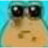 POU 6