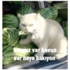 Karpuz var kavun var neye bakıyon