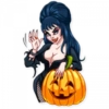 Elvira 5