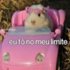 SURTOS LEVES & MEMES {😂} 8