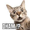DHAM.!?