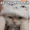 Cinta 5