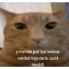 Shitpost Random 25