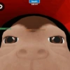 ROBLOX MEME VIRAL 9