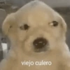 et viejo culero