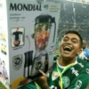 Palmeiras  6