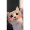 Gatitos 2🐈❤️ 8