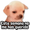 Esta semana no me has querido
