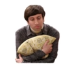 The big bang theory 2 13