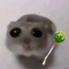 Cricetino Sad Hamster pt.2 22