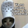 Gatitos SAD 😞 1 19