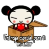 Pucca 14