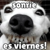 Viernes y el cuerpo lo sabe 😎 12