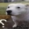 Shitpost Random 22