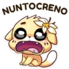 🐱 Gatinha Vanilla 7