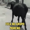FICA NO GRUPO MORENO