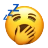 Emoji iphone kocak 13