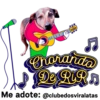 StickerAdoption  22