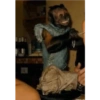 Changos 28