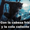 Lobo solirario 🐺 | meme 9