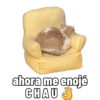 Michis caóticos ⚡😼⚡ 17