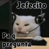 Jefecito Pa q pregunta