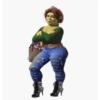 Memes Shrek 😎 15